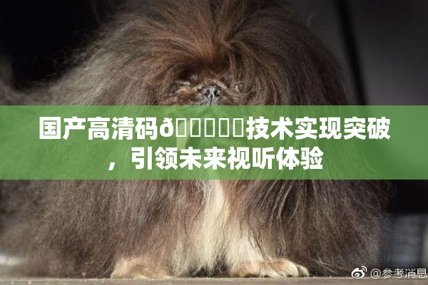 国产高清码🔞❌‌技术实现突破，引领未来视听体验