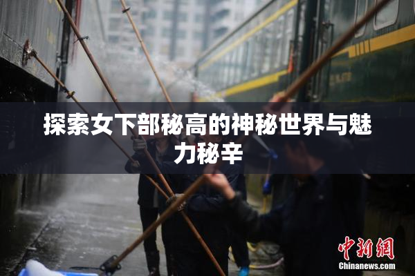 探索女下部秘高的神秘世界与魅力秘辛