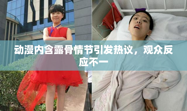 动漫内含露骨情节引发热议，观众反应不一