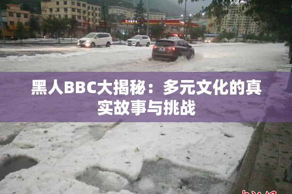 黑人BBC大揭秘：多元文化的真实故事与挑战