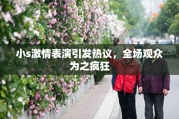 小s激情表演引发热议，全场观众为之疯狂