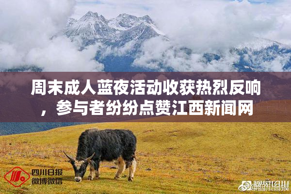 周末成人蓝夜活动收获热烈反响，参与者纷纷点赞江西新闻网