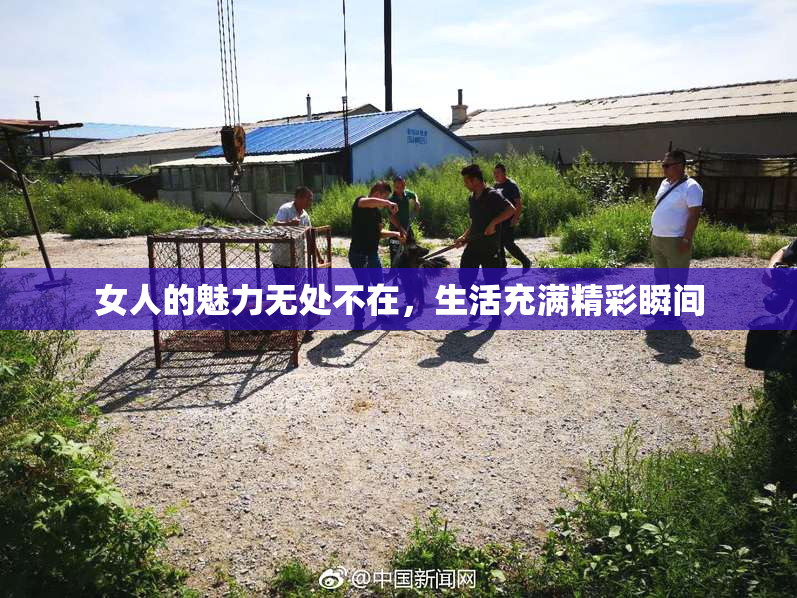 女人的魅力无处不在，生活充满精彩瞬间