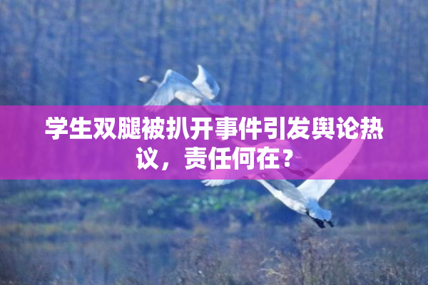学生双腿被扒开事件引发舆论热议，责任何在？