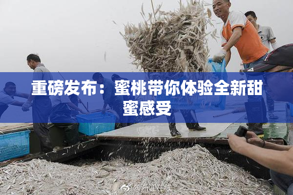 重磅发布：蜜桃带你体验全新甜蜜感受
