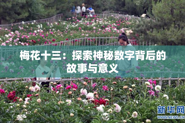 梅花十三：探索神秘数字背后的故事与意义