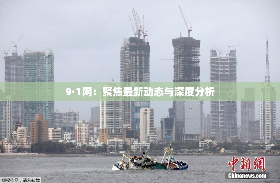 9·1网：聚焦最新动态与深度分析