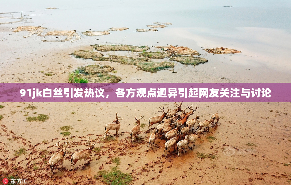 91jk白丝引发热议，各方观点迥异引起网友关注与讨论