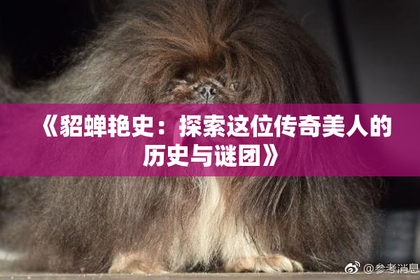 《貂蝉艳史：探索这位传奇美人的历史与谜团》