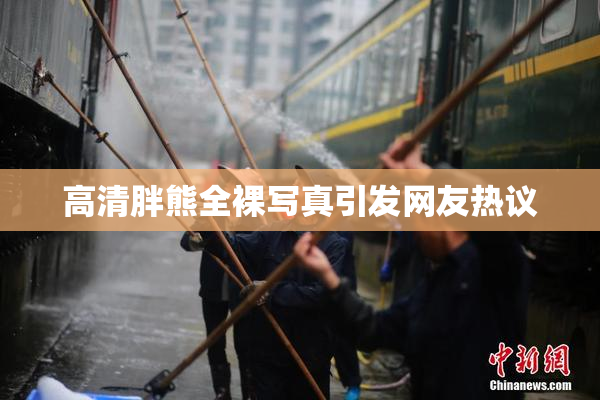 高清胖熊全裸写真引发网友热议