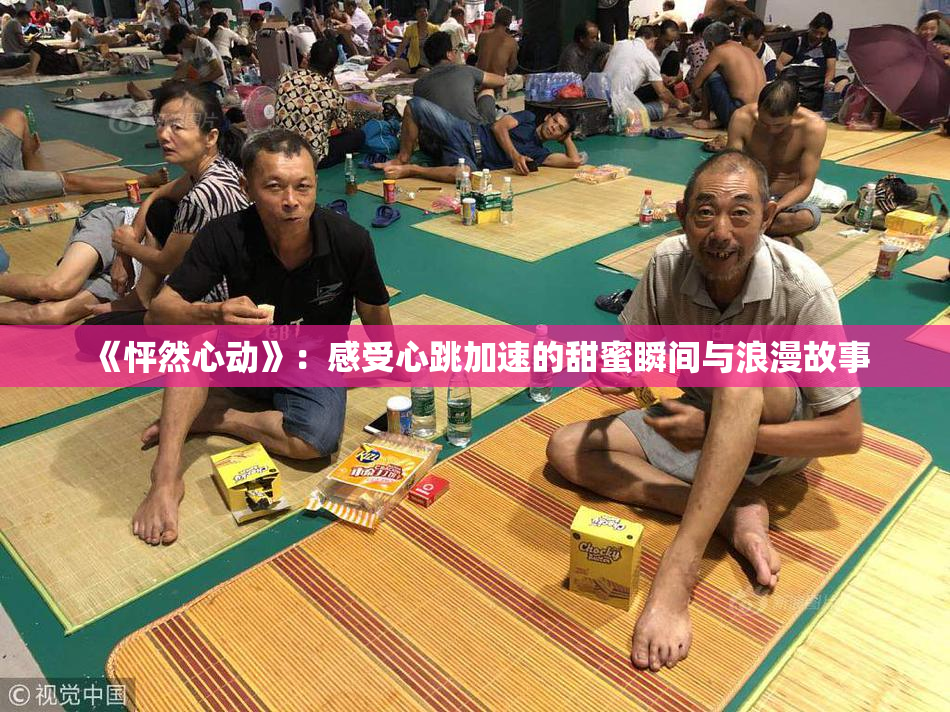 《怦然心动》：感受心跳加速的甜蜜瞬间与浪漫故事