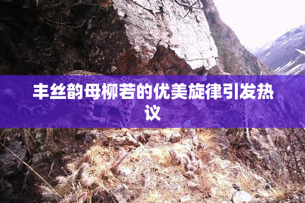 丰丝韵母柳若的优美旋律引发热议