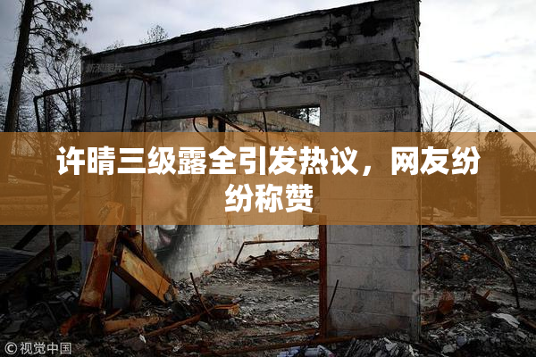 许晴三级露全引发热议，网友纷纷称赞