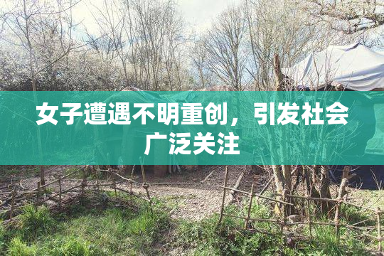 女子遭遇不明重创，引发社会广泛关注