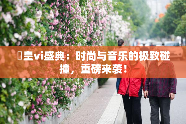 嘼皇vi盛典：时尚与音乐的极致碰撞，重磅来袭！