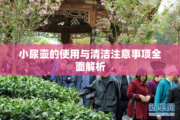 小尿壶的使用与清洁注意事项全面解析