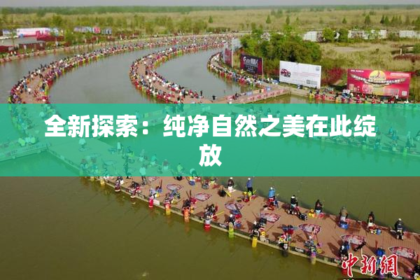 全新探索：纯净自然之美在此绽放