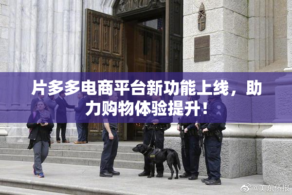 片多多电商平台新功能上线，助力购物体验提升！