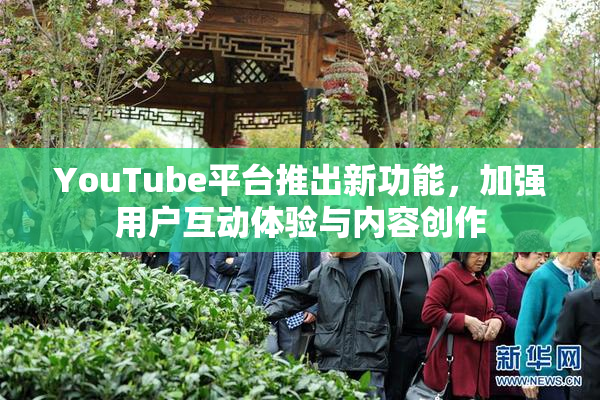 YouTube平台推出新功能，加强用户互动体验与内容创作