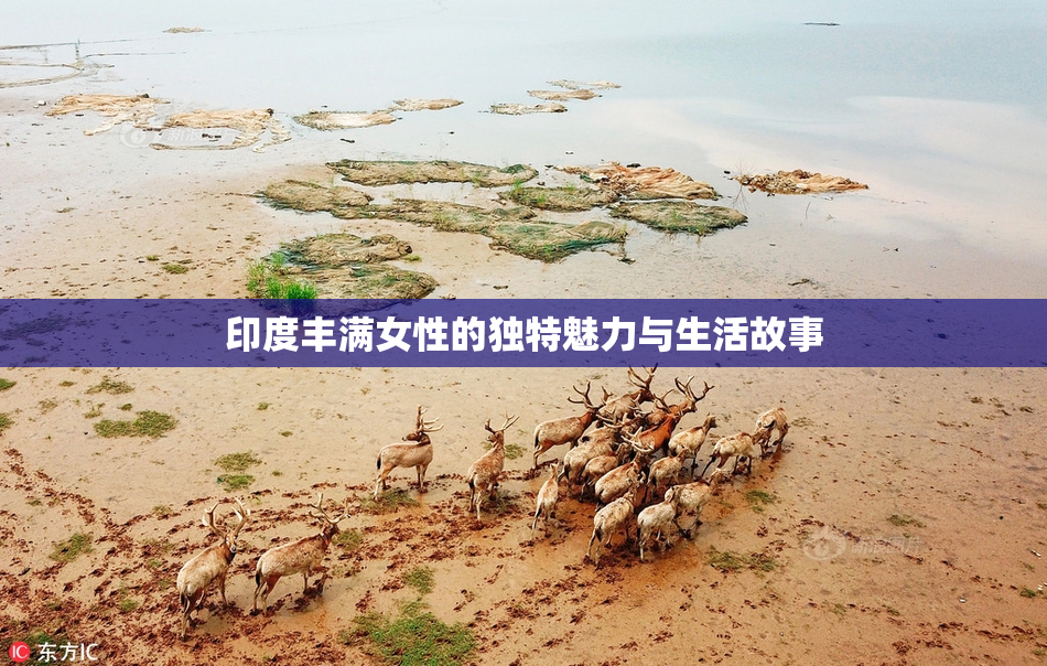 印度丰满女性的独特魅力与生活故事