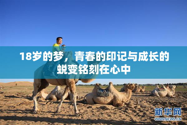 18岁的梦，青春的印记与成长的蜕变铭刻在心中