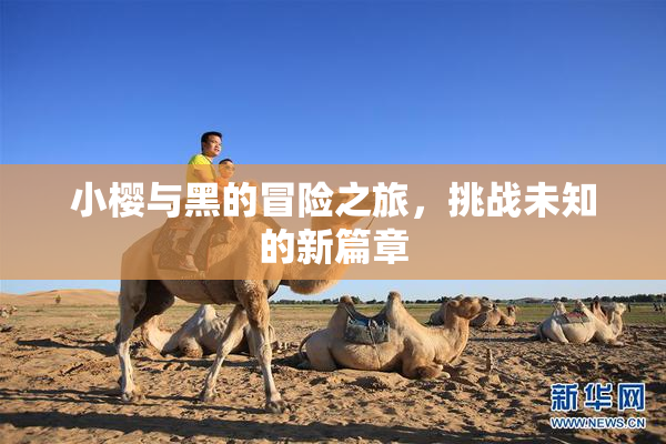 小樱与黑的冒险之旅，挑战未知的新篇章