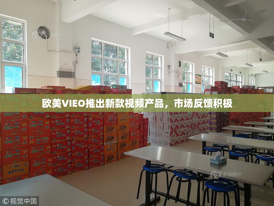 欧美VIEO推出新款视频产品，市场反馈积极