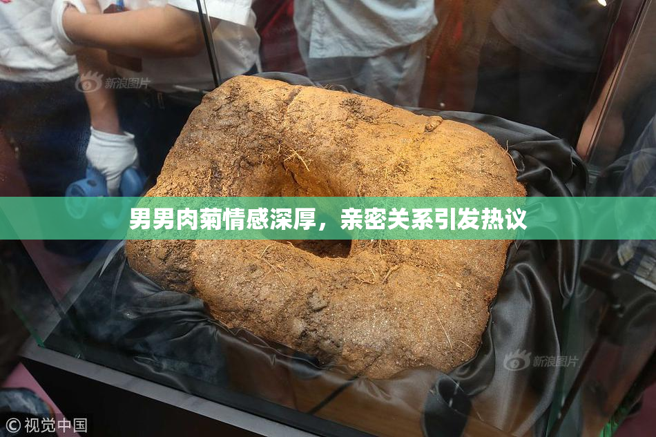 男男肉菊情感深厚，亲密关系引发热议