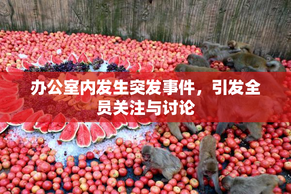办公室内发生突发事件，引发全员关注与讨论