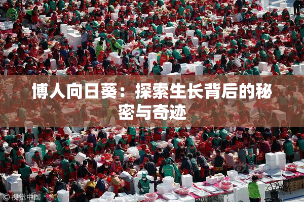 博人向日葵：探索生长背后的秘密与奇迹