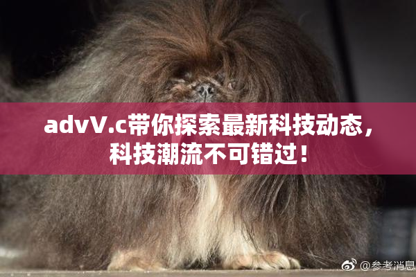 advV.c带你探索最新科技动态，科技潮流不可错过！