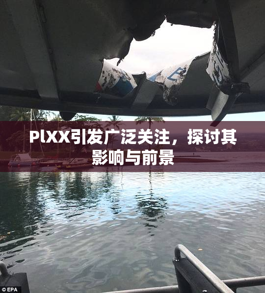 PlXX引发广泛关注，探讨其影响与前景