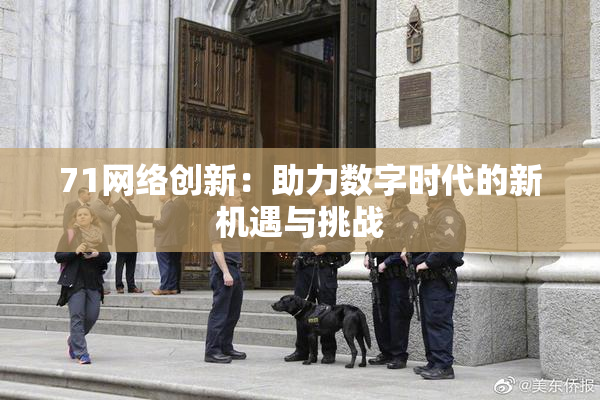 71网络创新：助力数字时代的新机遇与挑战