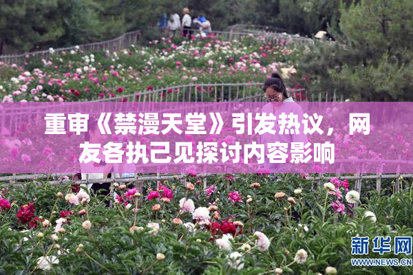 重审《禁漫天堂》引发热议，网友各执己见探讨内容影响