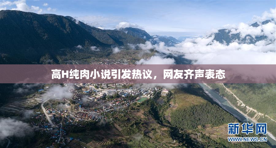 高H纯肉小说引发热议，网友齐声表态