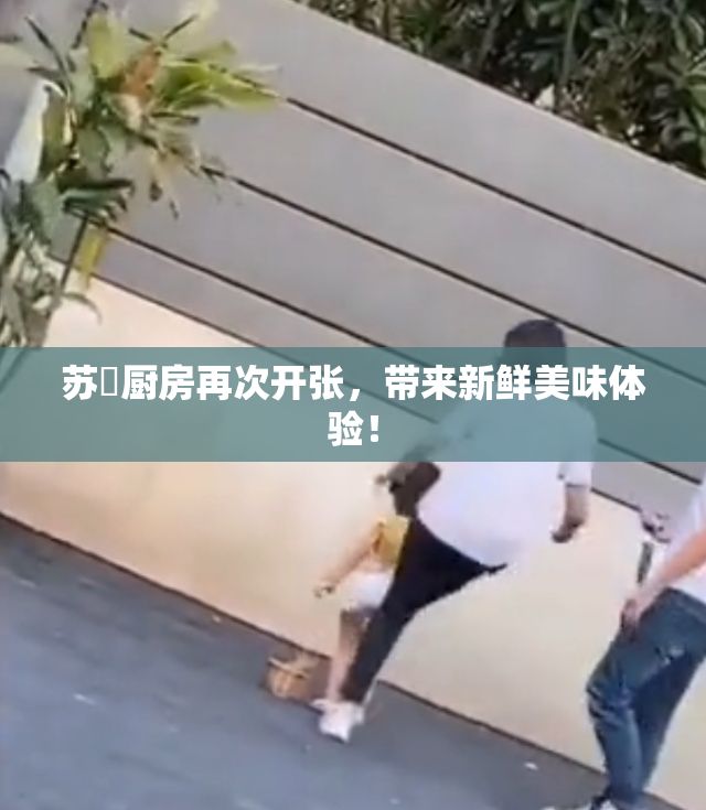 苏玥厨房再次开张，带来新鲜美味体验！