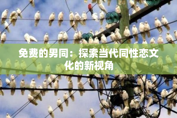 免费的男同：探索当代同性恋文化的新视角