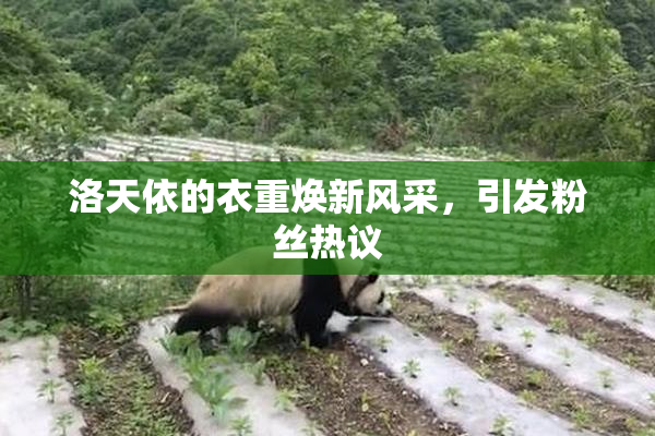 洛天依的衣重焕新风采，引发粉丝热议