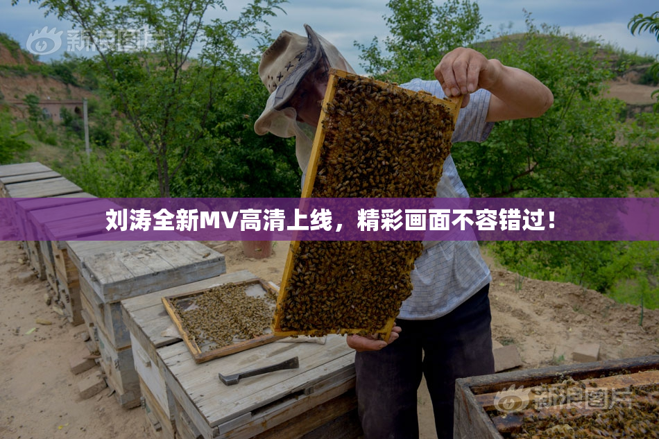 刘涛全新MV高清上线，精彩画面不容错过！