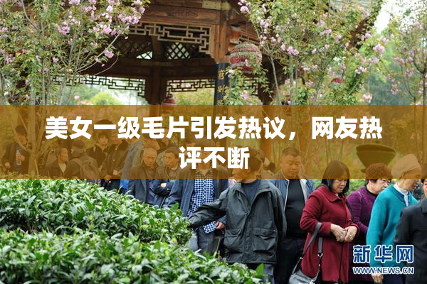 美女一级毛片引发热议，网友热评不断