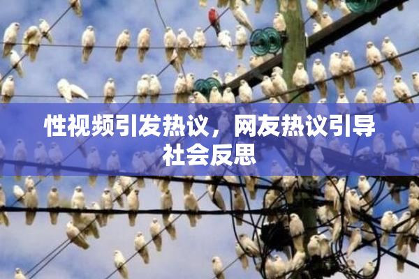 性视频引发热议，网友热议引导社会反思