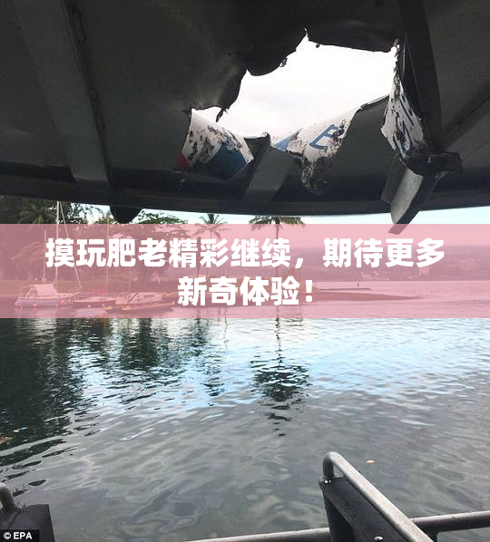 摸玩肥老精彩继续，期待更多新奇体验！