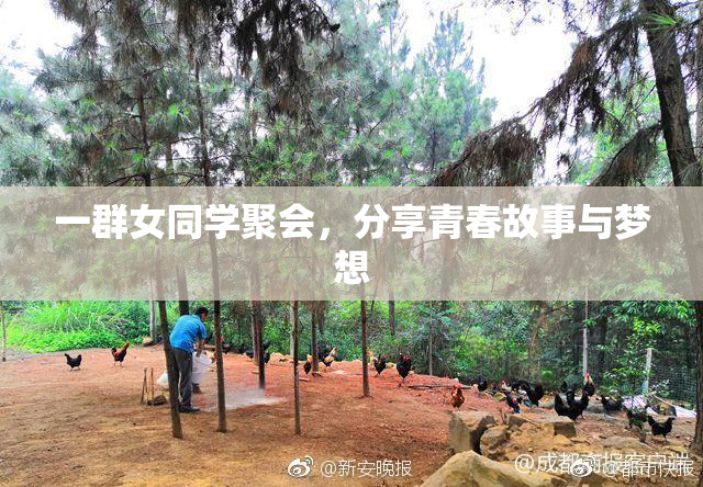一群女同学聚会，分享青春故事与梦想