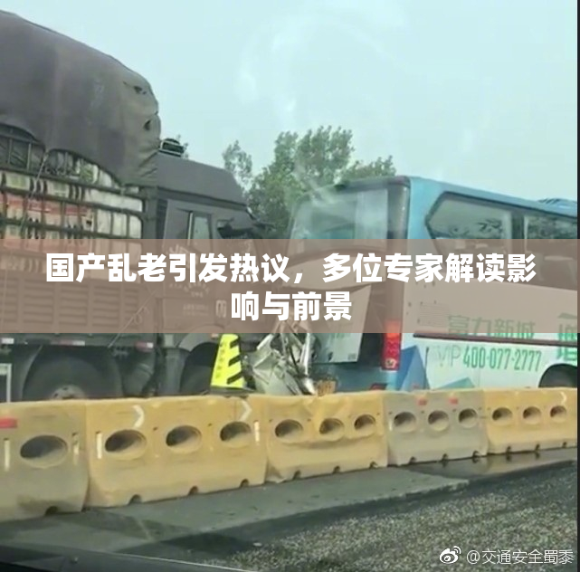 国产乱老引发热议，多位专家解读影响与前景