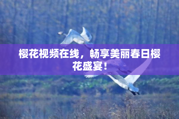 樱花视频在线，畅享美丽春日樱花盛宴！