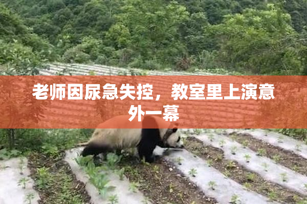 老师因尿急失控，教室里上演意外一幕