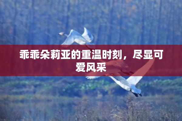 乖乖朵莉亚的重温时刻，尽显可爱风采