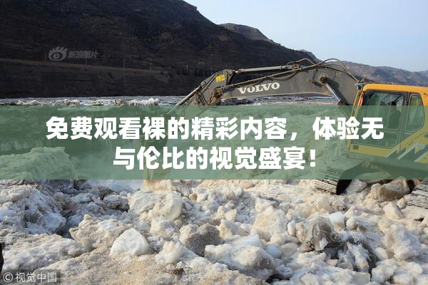 免费观看裸的精彩内容，体验无与伦比的视觉盛宴！