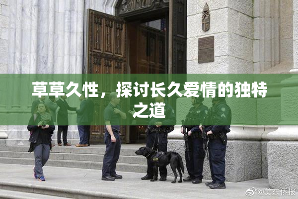 草草久性，探讨长久爱情的独特之道