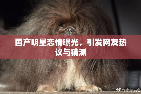 国产明星恋情曝光，引发网友热议与猜测